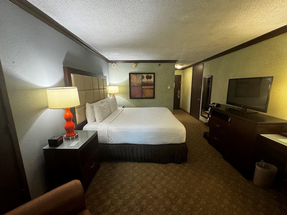Wingate Houston near NRG Park Medical Center - photo 24