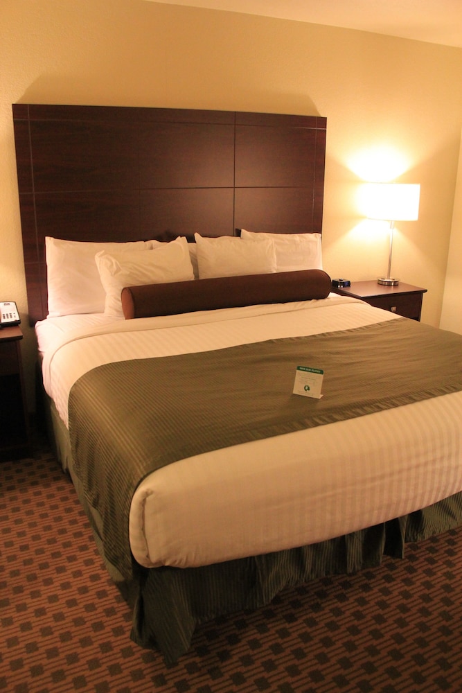 Castle Rock Inn & Suites - photo 15