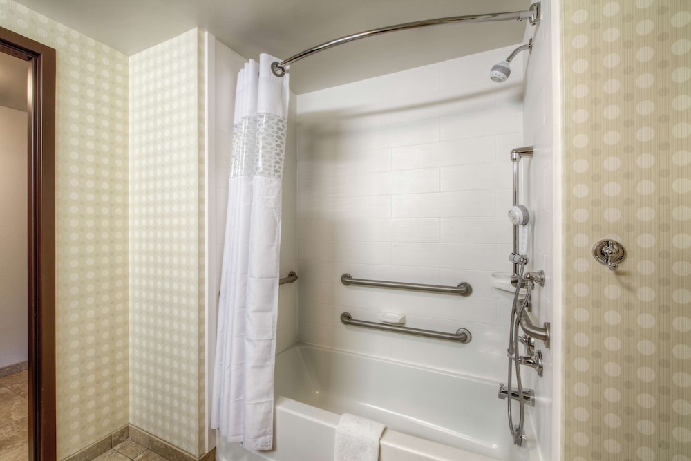 Hampton Inn & Suites Detroit Airport Romulus - photo 26
