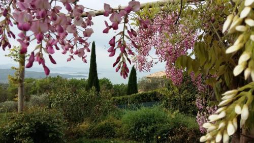 Villa La Moraiola — 4-Star Luxury Hotel in Passignano Sul Trasimeno, Italy