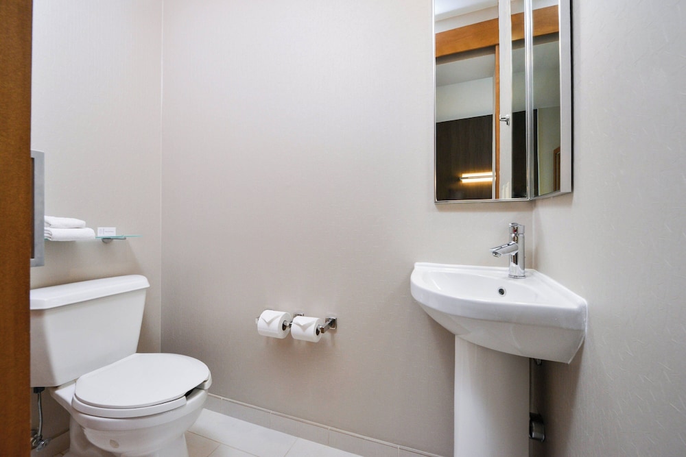 SpringHill Suites by Marriott Ashburn Dulles North - photo 15