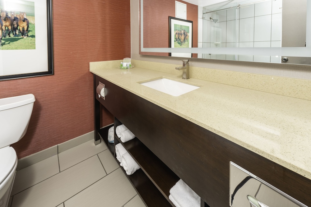 Holiday Inn Louisville East Hurstbourne by IHG - photo 24