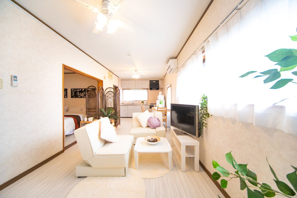 Cocolo Stella — Awaji — photo 4