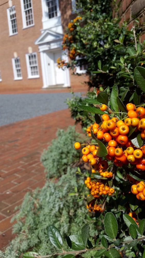 Albemarle Estate at Trump Winery - photo 131