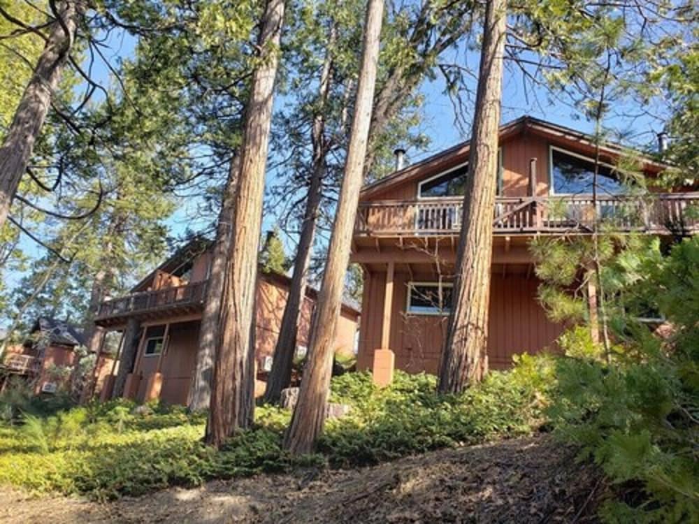 The Pines Resort - photo 140