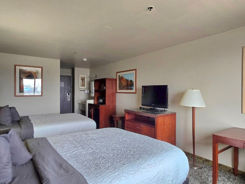 Olympia Inn - photo 8