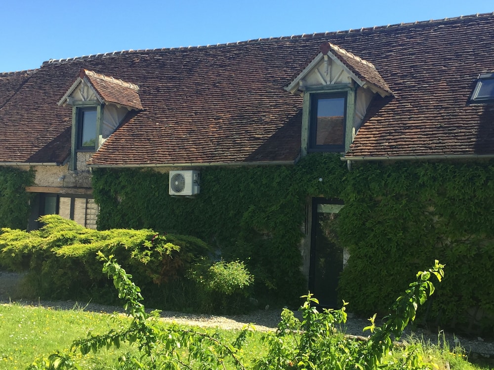 Un Figuier Dans Notre Jardin — Beaune La Rolande