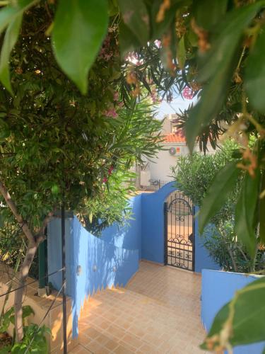 Maroccana — Bar — photo 4