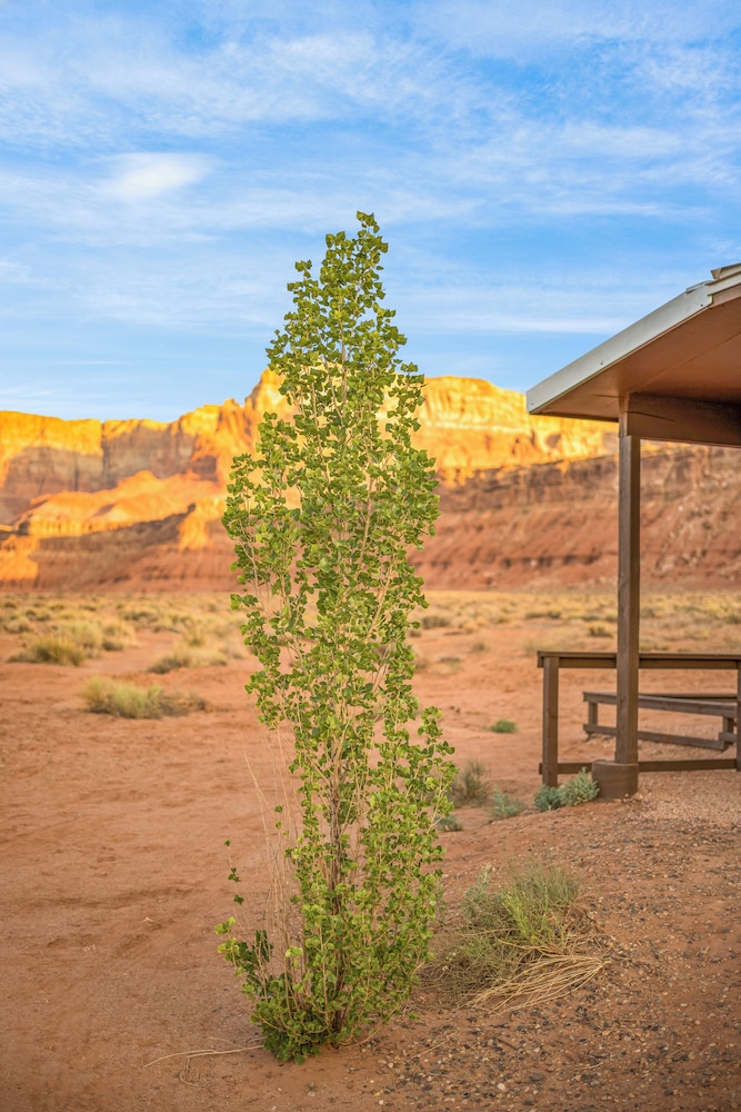 Marble Canyon Lodge - photo 176