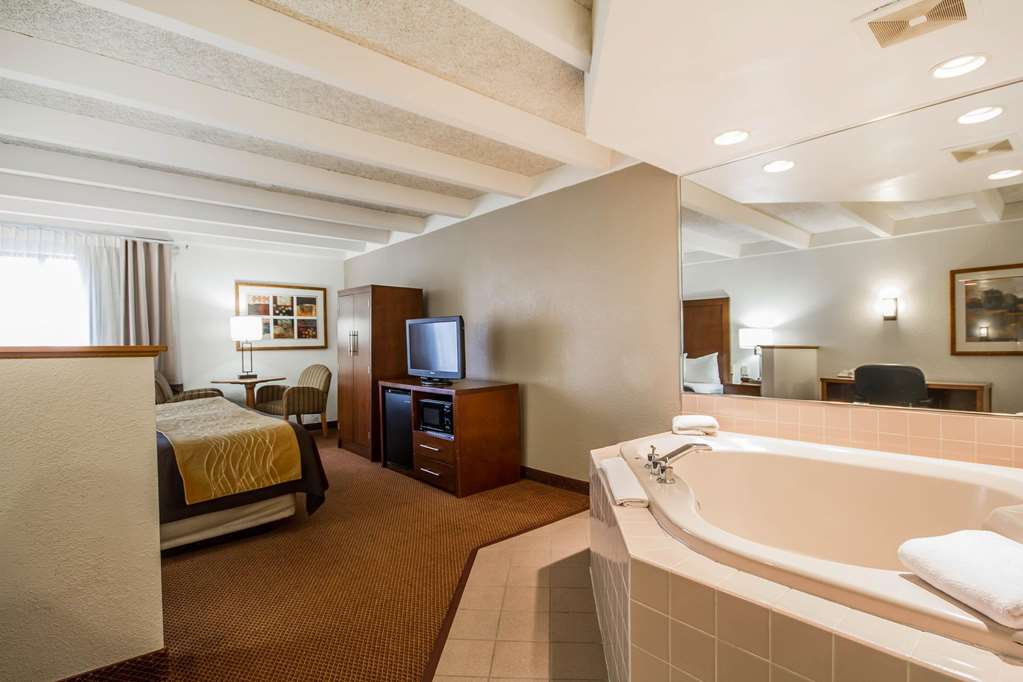 Comfort Inn & Suites Madison Airport - photo 23