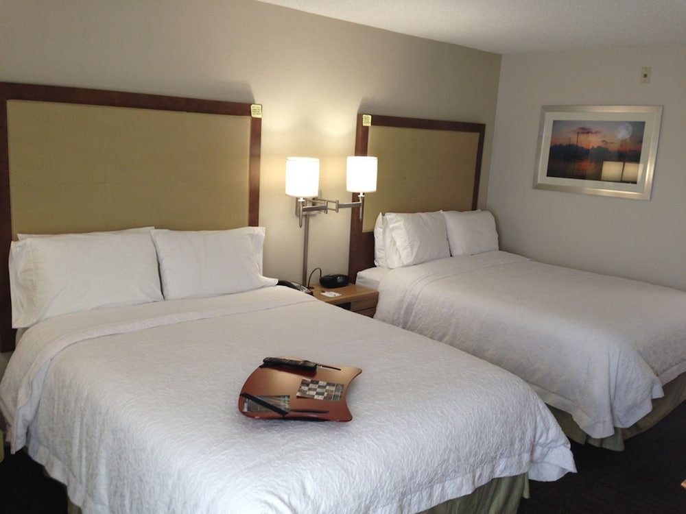 Hampton Inn Tampa Rocky Point Airport - photo 4