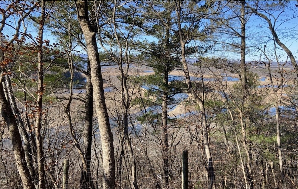 Little Bluff Inn - photo 34