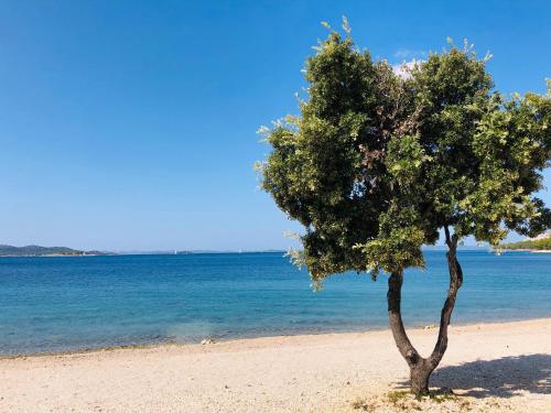 Ecobeachvilla Buqez 9 in Pakostane, Croatia