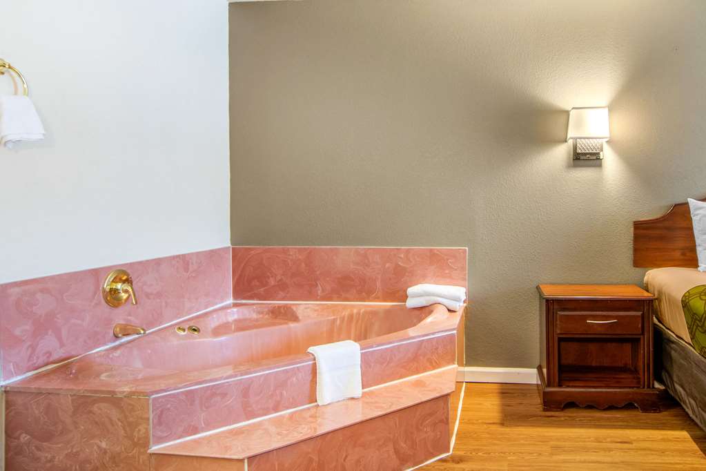 Econo Lodge Inn & Suites near Chickamauga Battlefield - photo 13