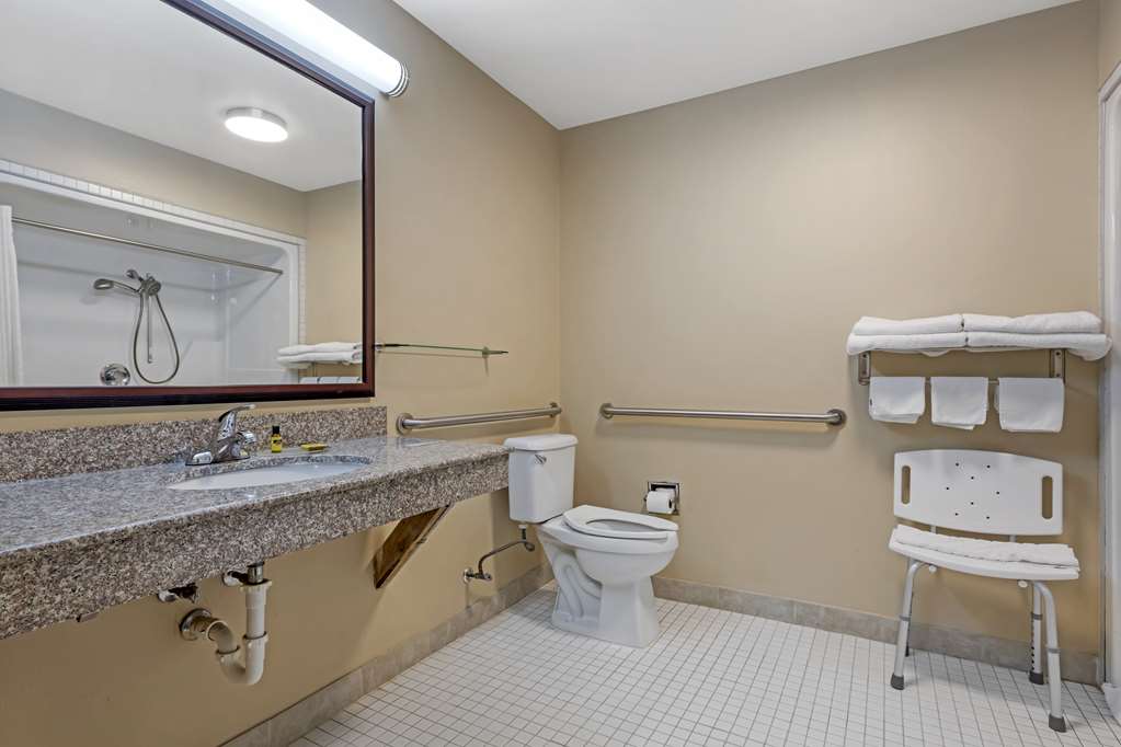 Best Western Plus Burleson Inn & Suites - photo 34