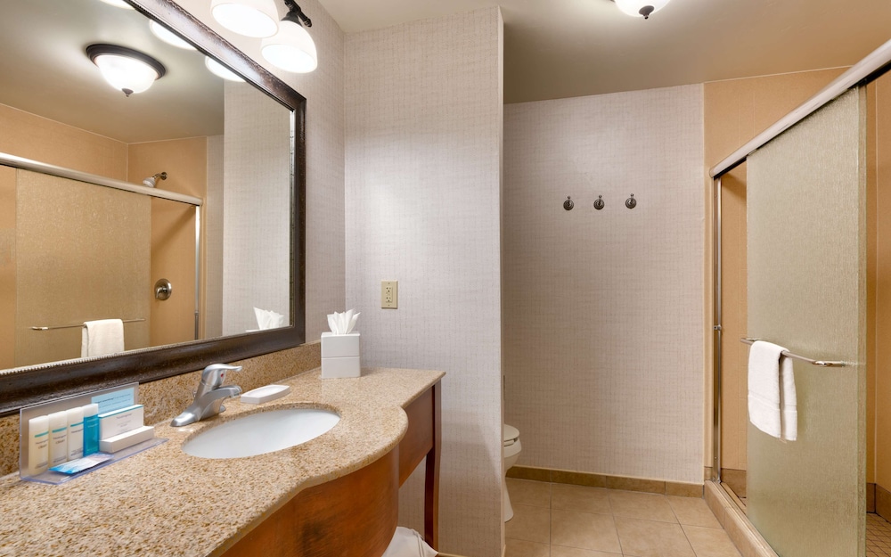 Hampton Inn & Suites Show Low Pinetop - photo 24