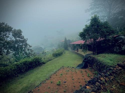 Royal Mountain Edge Knuckles - carbon neutral hotel in Unknown City