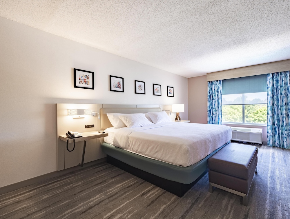 Hilton Garden Inn Albany - photo 8