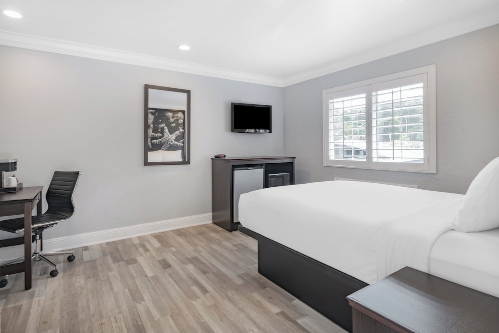 Aura Inn Monterey - photo 67