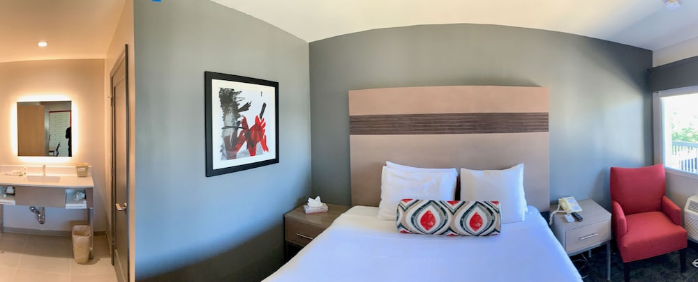 Pacific Motor Inn - photo 12