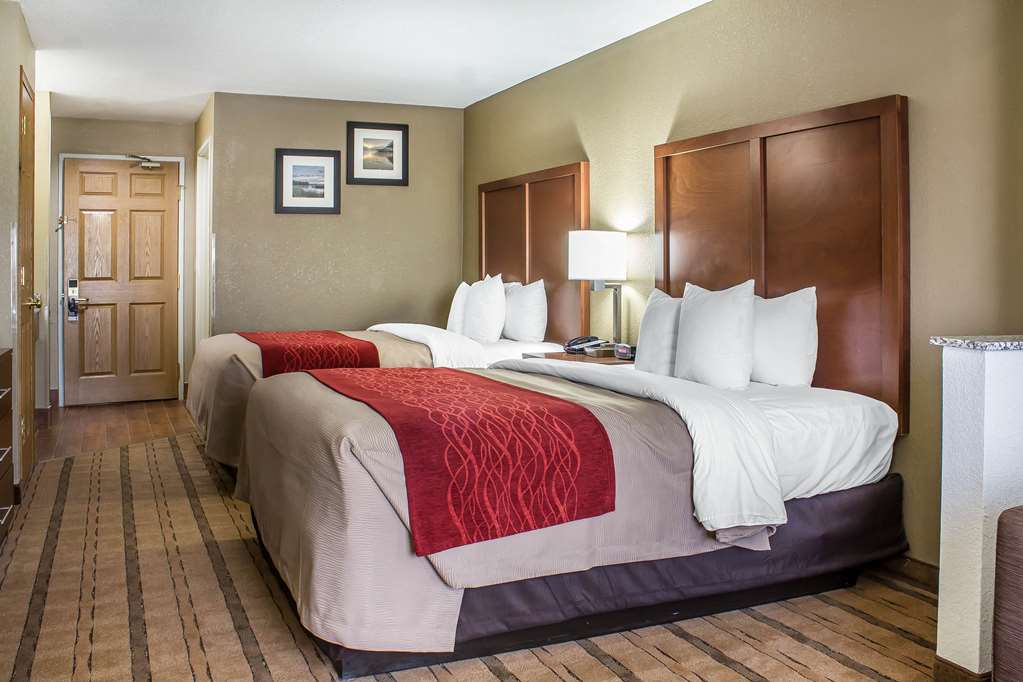 Comfort Inn & Suites Cedar Rapids North Collins Road - photo 28