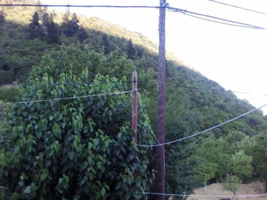 To Greki — Kalavryta — photo 3