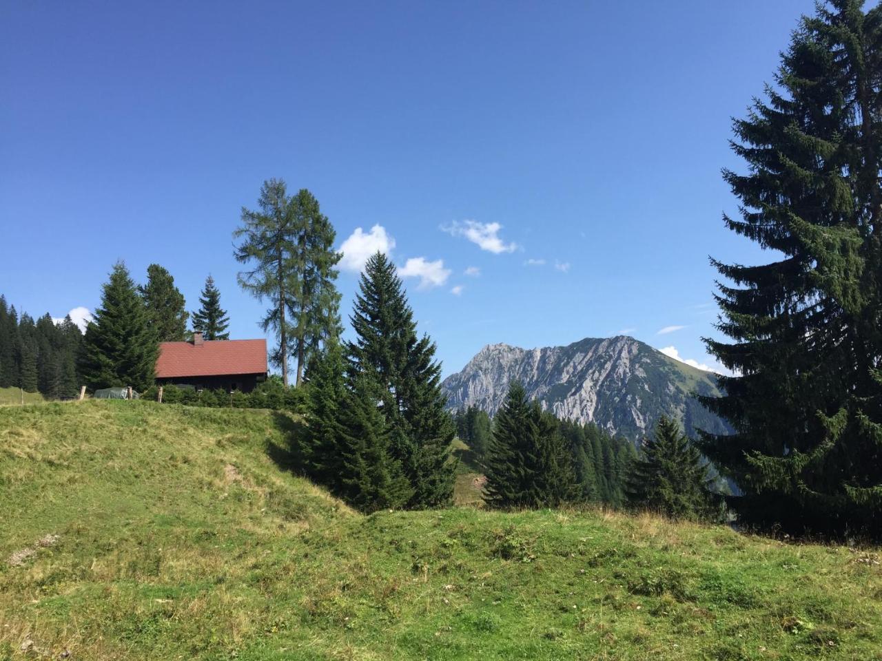 Jagdhutte Gammeringalm — hotel in Spital Am Pyhrn
