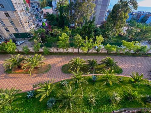 Dream Apartments in Oasis