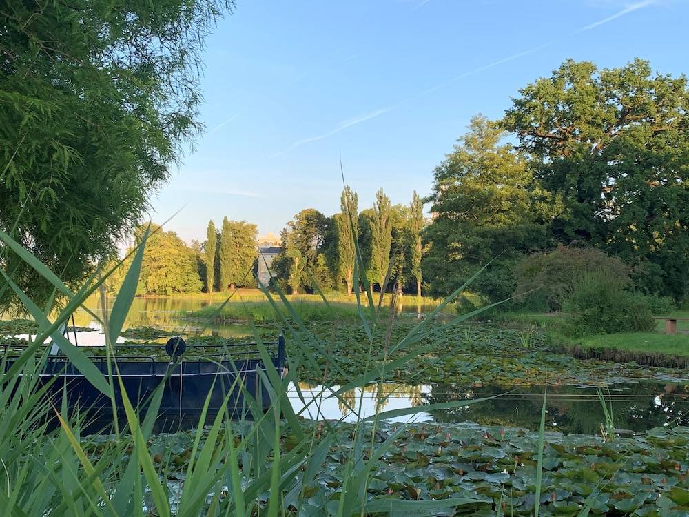 Land view from property