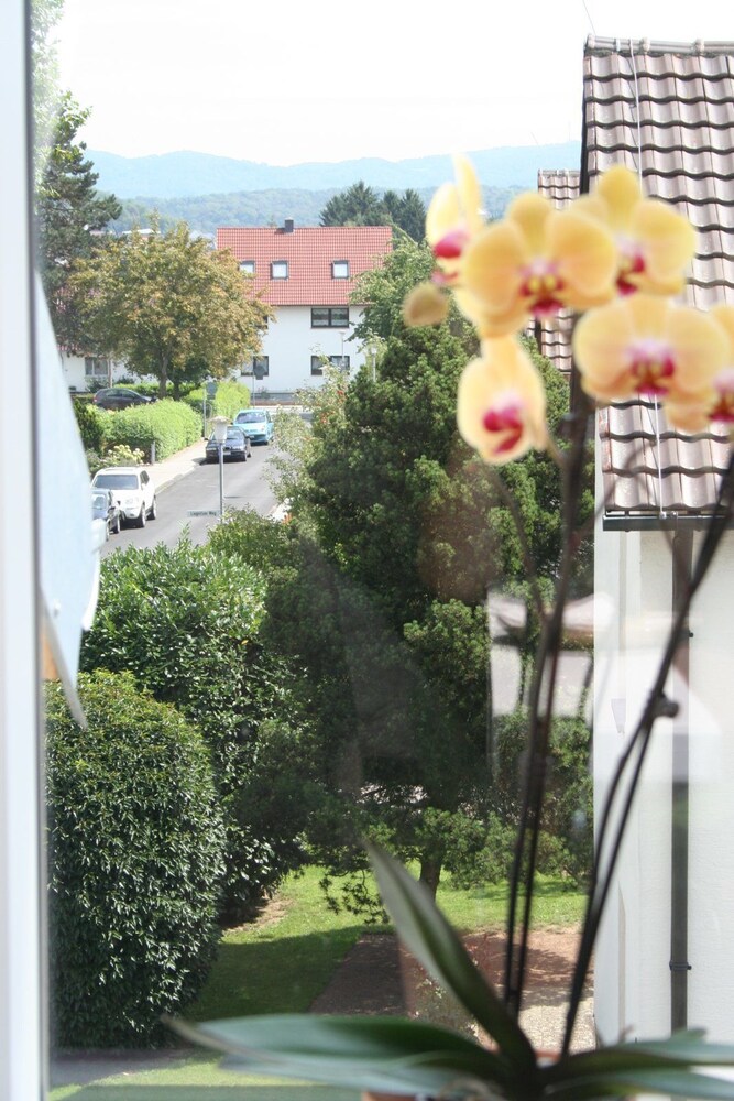 Boutique Lodgings Horster — Bensheim — photo 4