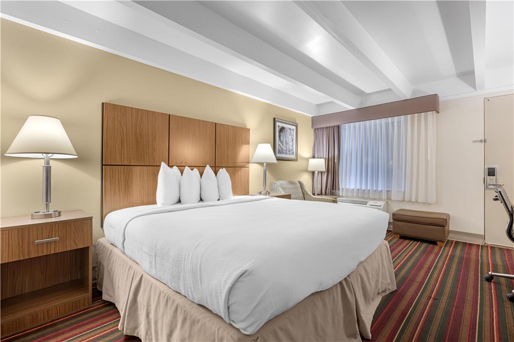 Best Western El Rancho Palacio - photo 14
