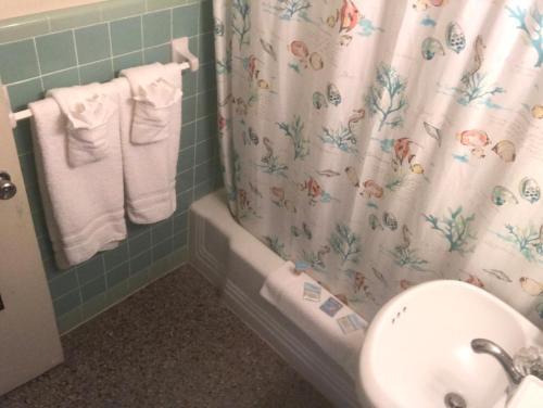 South Beach Inn - photo 4