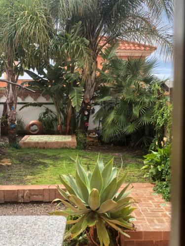 Duplex Con Vistas Panoramicas — Aguilas