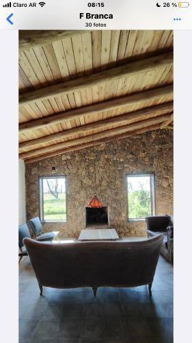 Las yucas in Mercedes, Argentina