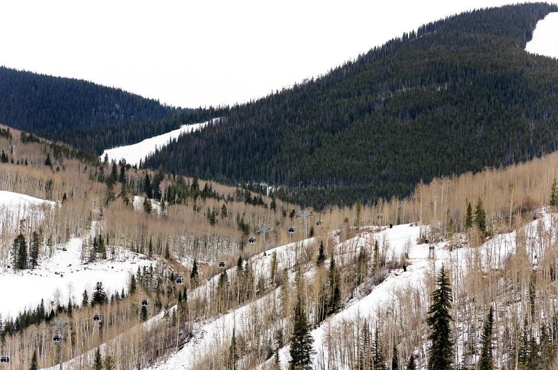 Four Seasons Resort and Residences Vail - photo 212