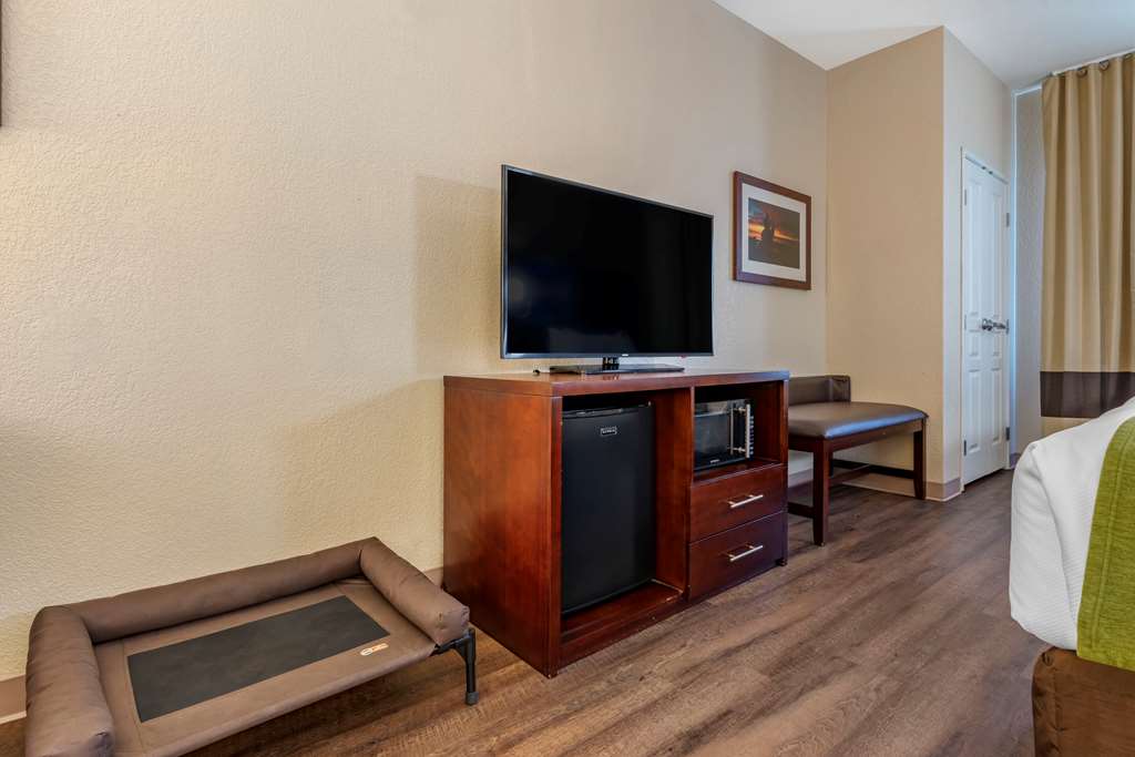 Comfort Suites Fernley - photo 29