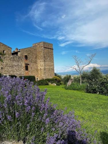 Medieval Tower in Umbria with Swimming Pool — hotel in Marsciano