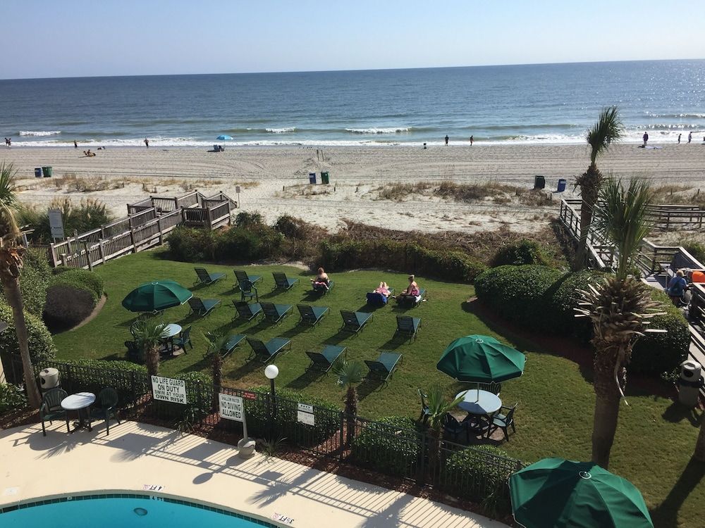 The Palms - photo 9