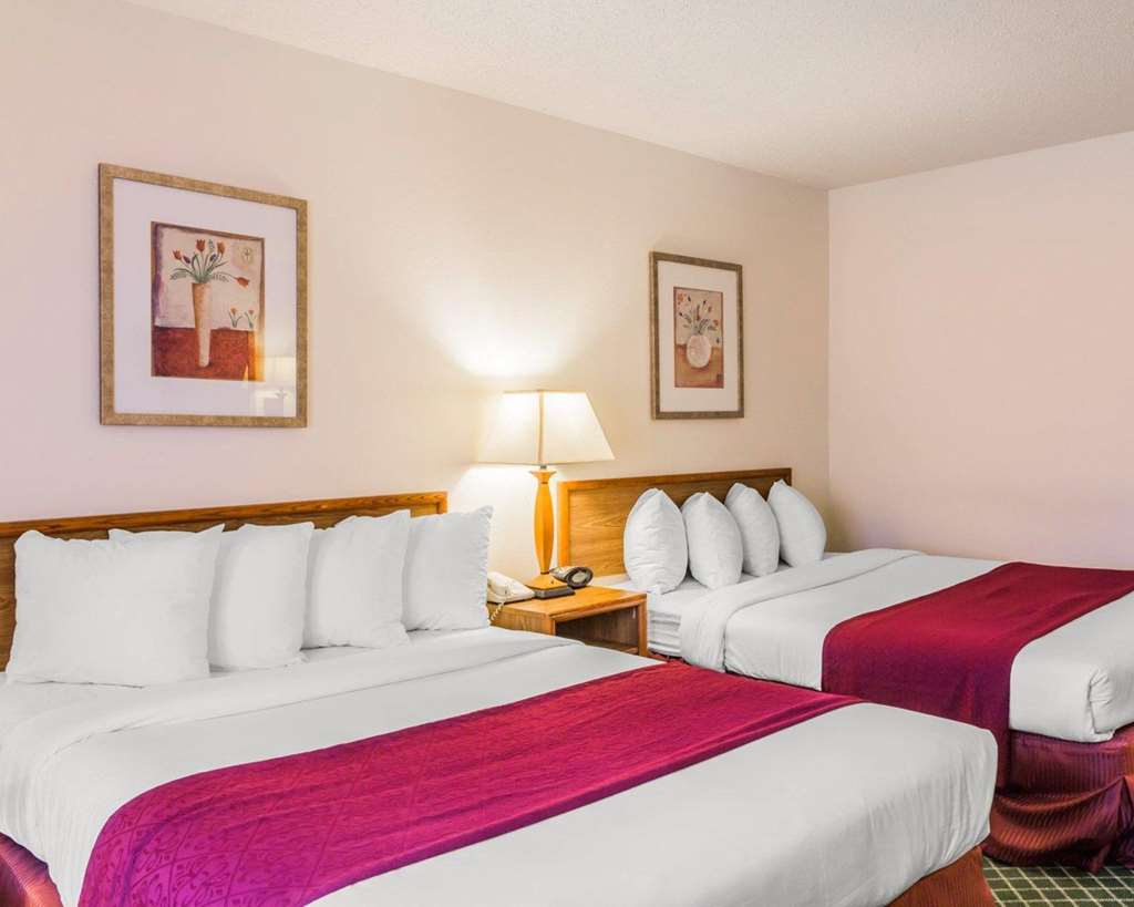 Quality Inn & Suites Golden Denver West - photo 11