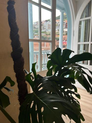 Apartment in historical district of Tbilisi