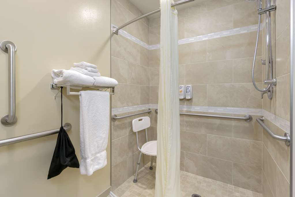 Best Western Plus Grapevine Inn - photo 36