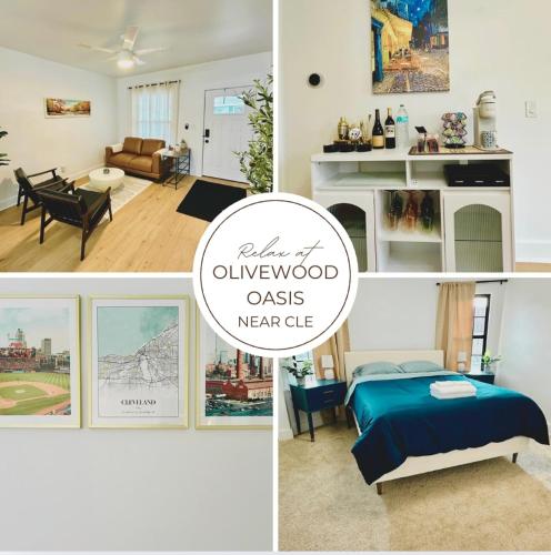 Luxury Olivewood Oasis 13 mins to Cleveland in Lakewood, United States