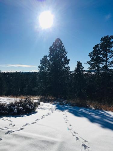 Priceless Black Hills View - photo 33