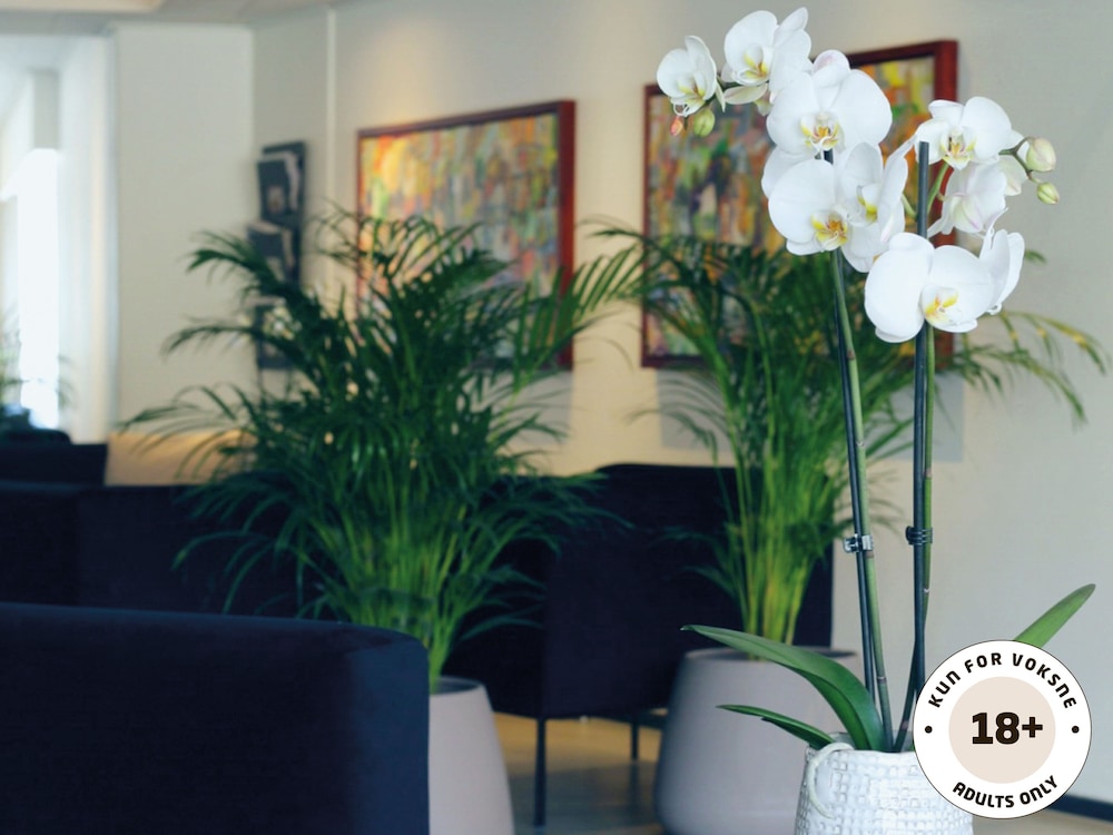 Ærø Hotel Adults only in Marstal, Denmark