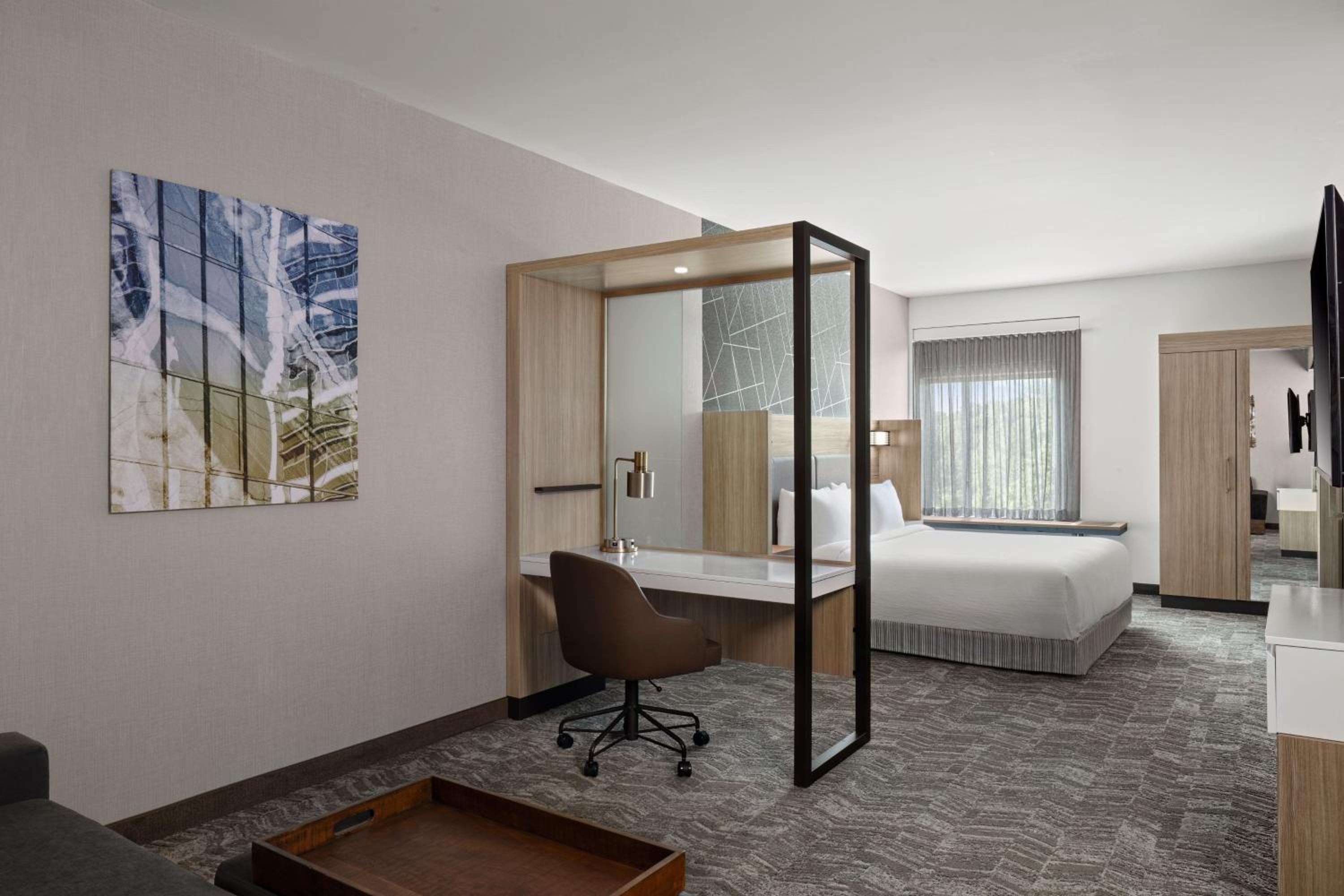 SpringHill Suites by Marriott Kalamazoo Portage - photo 48