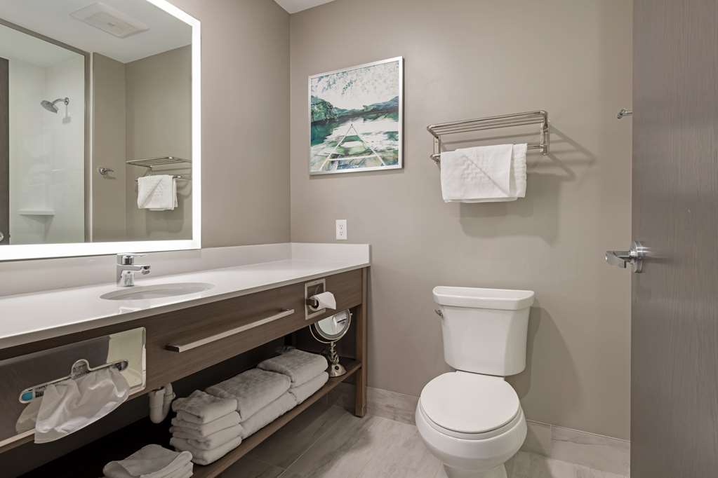 Best Western Plus Grand Rapids MN - photo 12