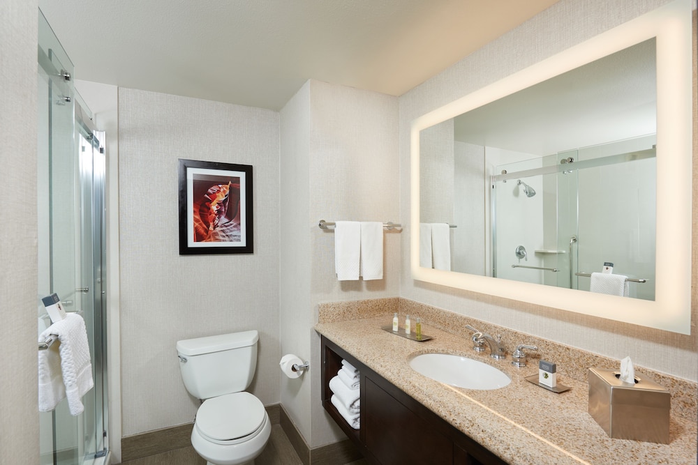 DoubleTree by Hilton Hotel Flagstaff - photo 46