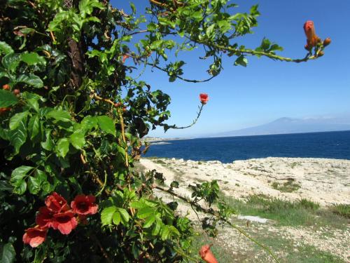 Villa Sicily Sul Mare Tra Catania e Siracusa — 4-Star Luxury Hotel in Augusta, Italy