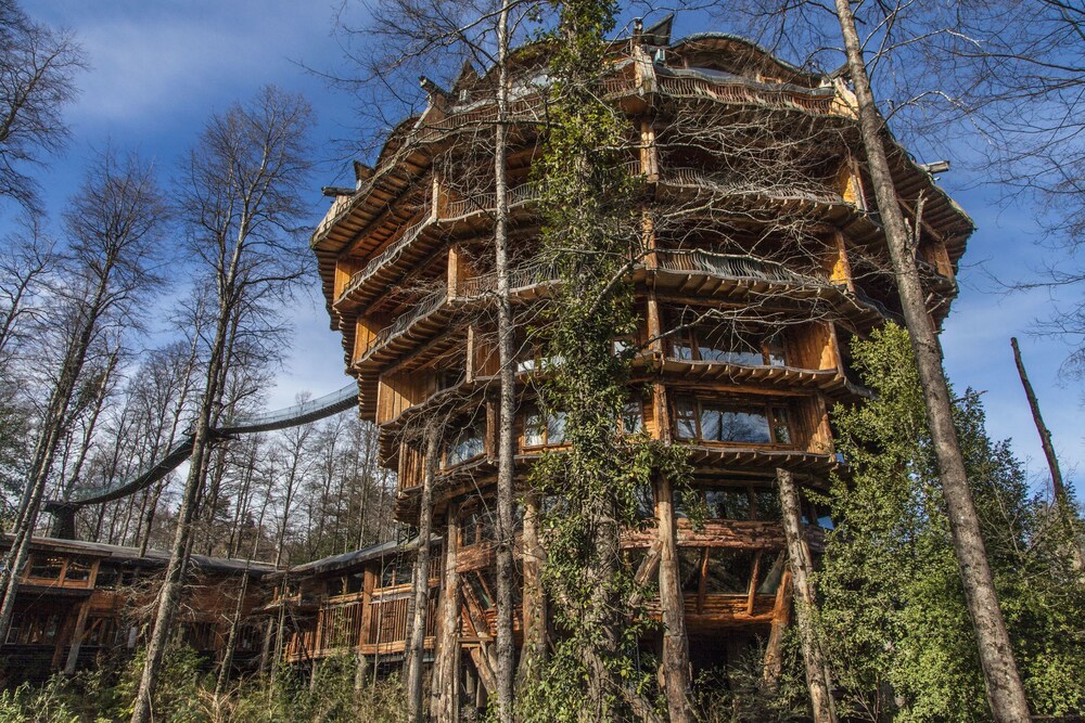 Huilo Huilo Nothofagus Hotel & Spa in Panguipulli, Chile