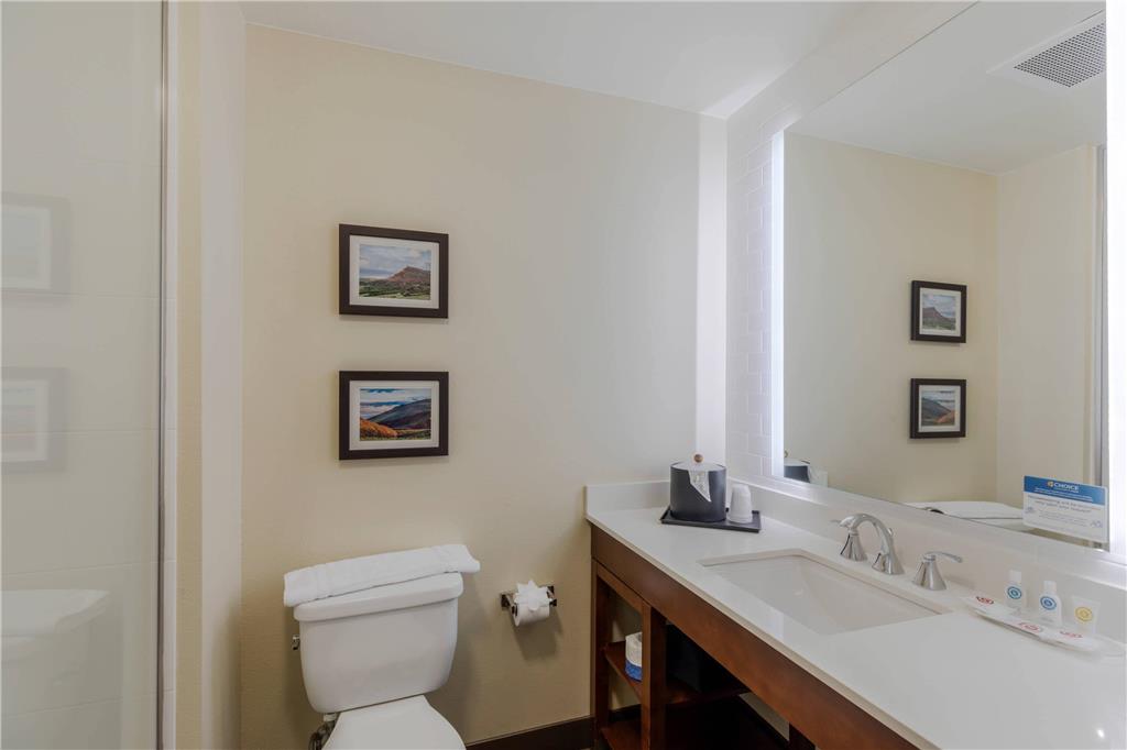 Comfort Suites Loveland - photo 29